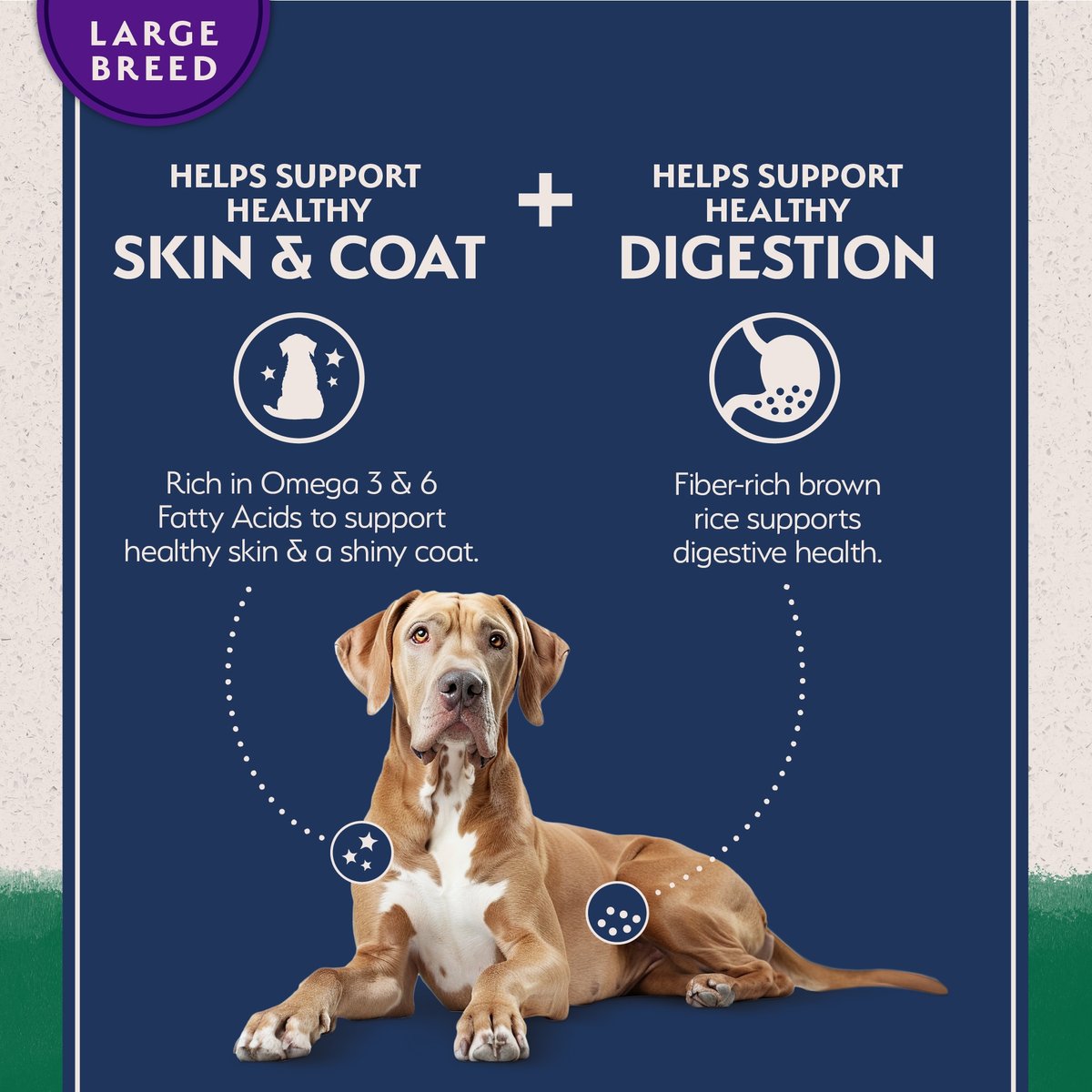 Natural Balance L.I.D. Lamb & Brown Rice Large Breed Dog Food
