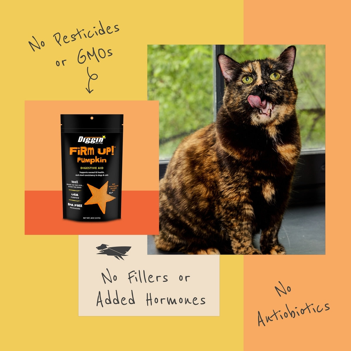 Diggin' Your Dog Firm Up! Pumpkin Digestive Aid Powder Supplement for Dogs & Cats