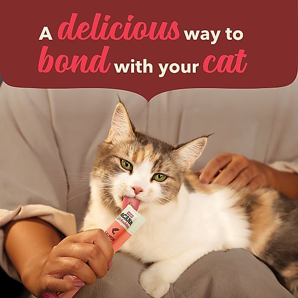 ACANA Salmon Natural Recipe Lickable Cat Treats