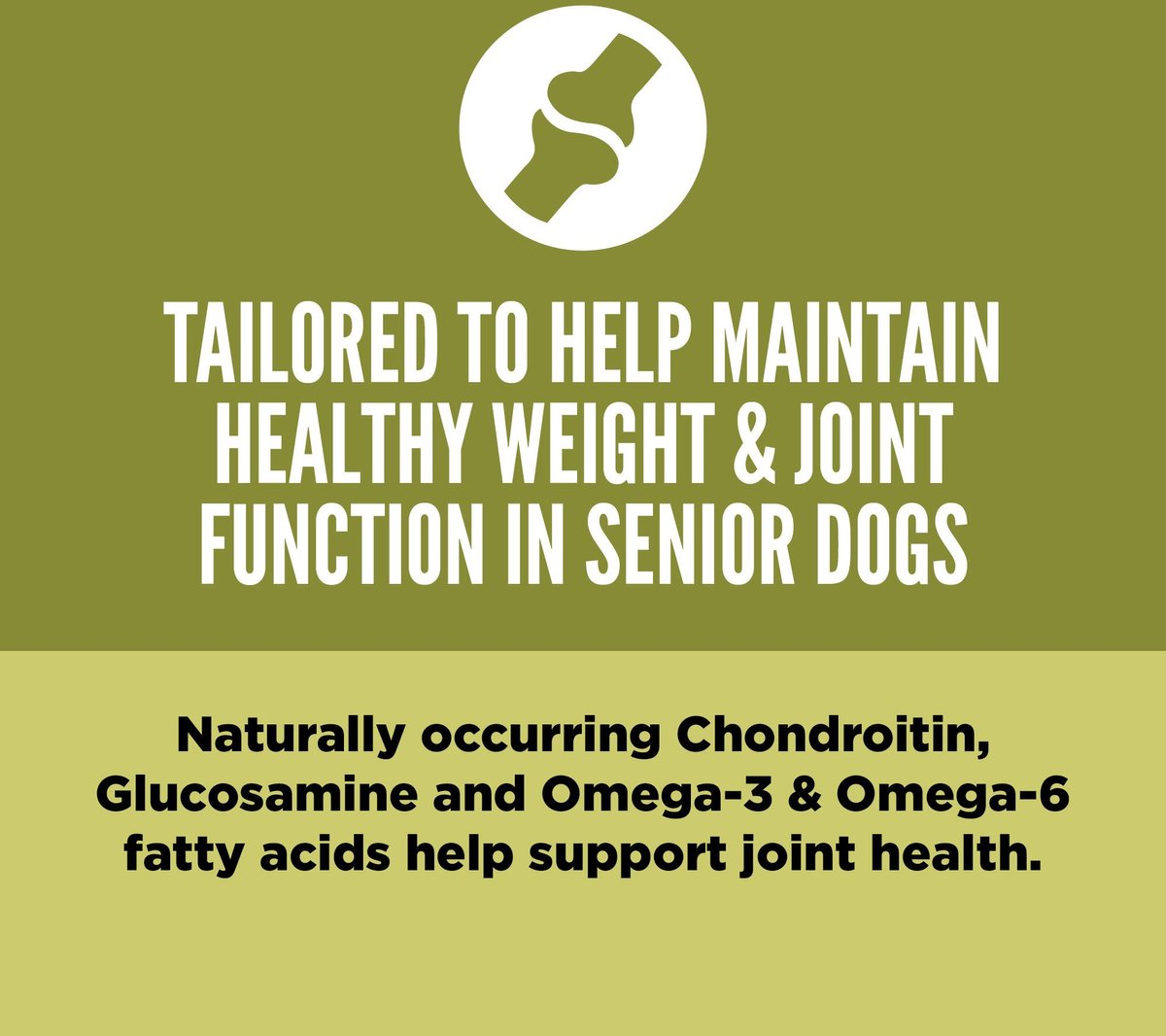 Orijen Dog Senior Dry Food