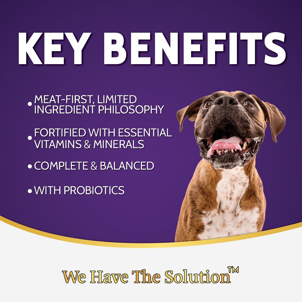 Zignature Limited Ingredient Formula Salmon Dry Dog Food