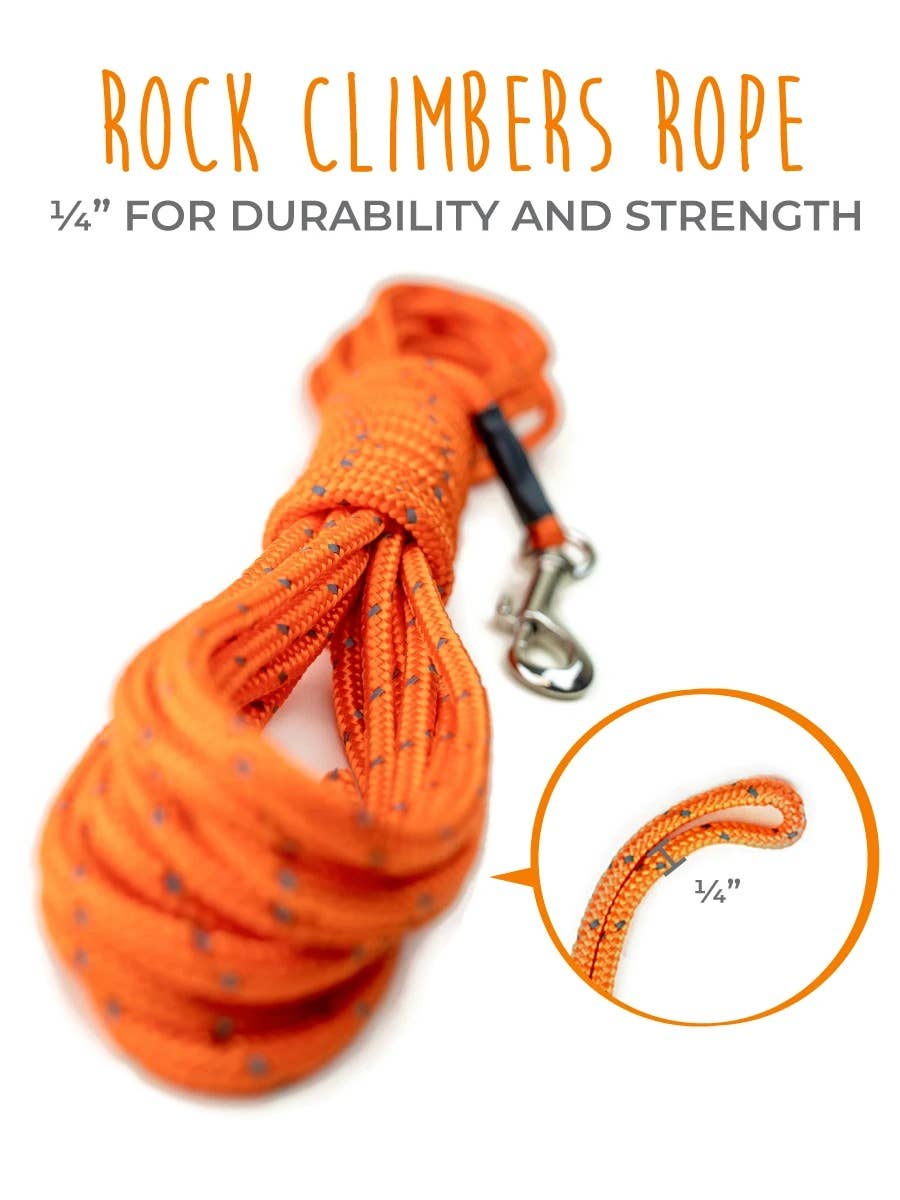 Mighty Paw 30' Check Cord