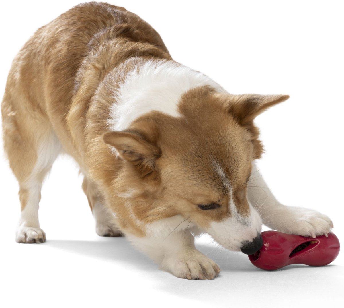 West Paw Holiday Qwizl Treat Dispensing Chew Toy