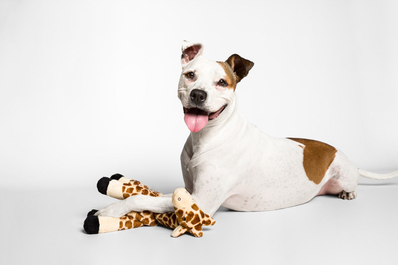 Fluff & Tuff "Nelly" - Giraffe Plush Dog Toy