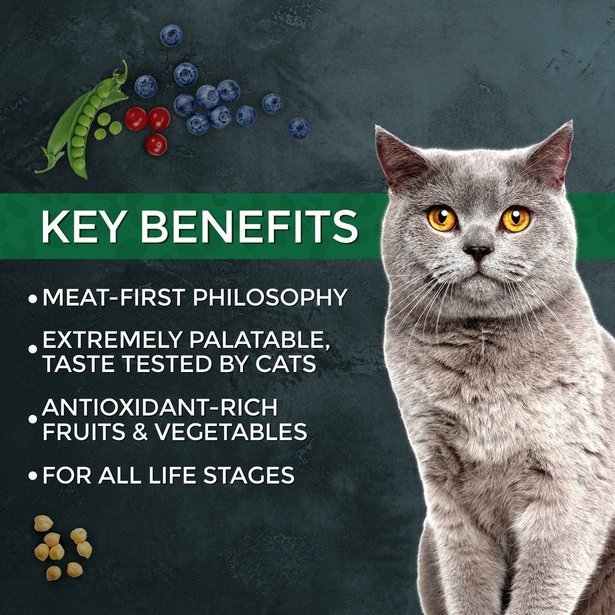 Fussie Cat Market Fresh Grain-Free Salmon and Chicken Dry Food