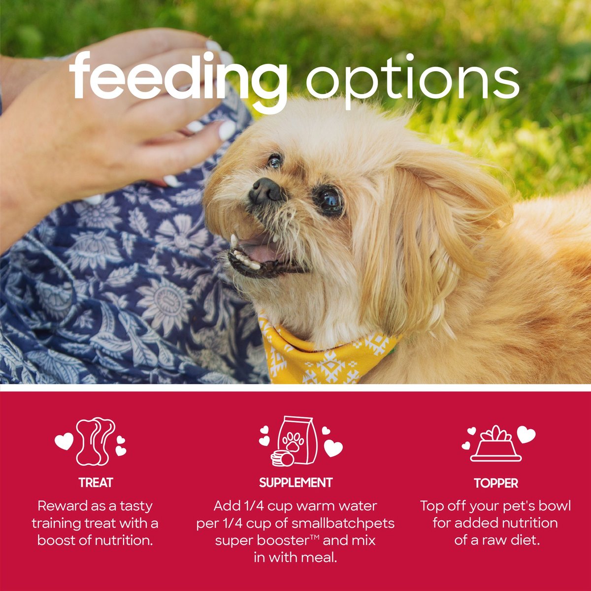 Smallbatch Freeze Dried Beef Super Booster Bites for Dog and Cats