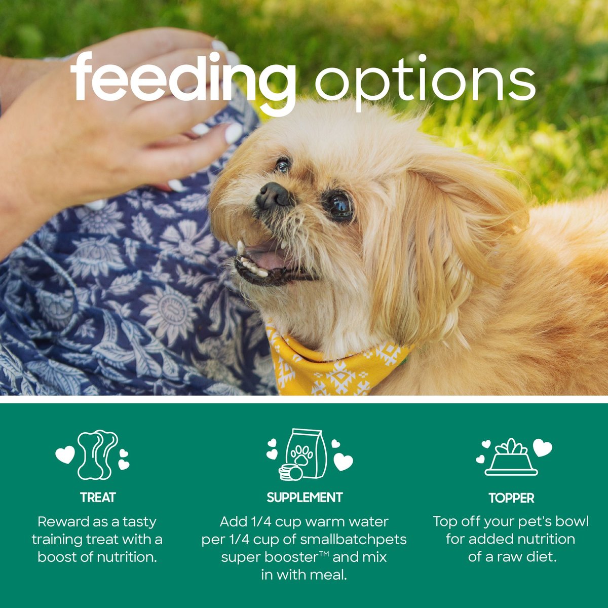 Smallbatch Freeze Dried Lamb Super Booster Bites for Dog and Cats