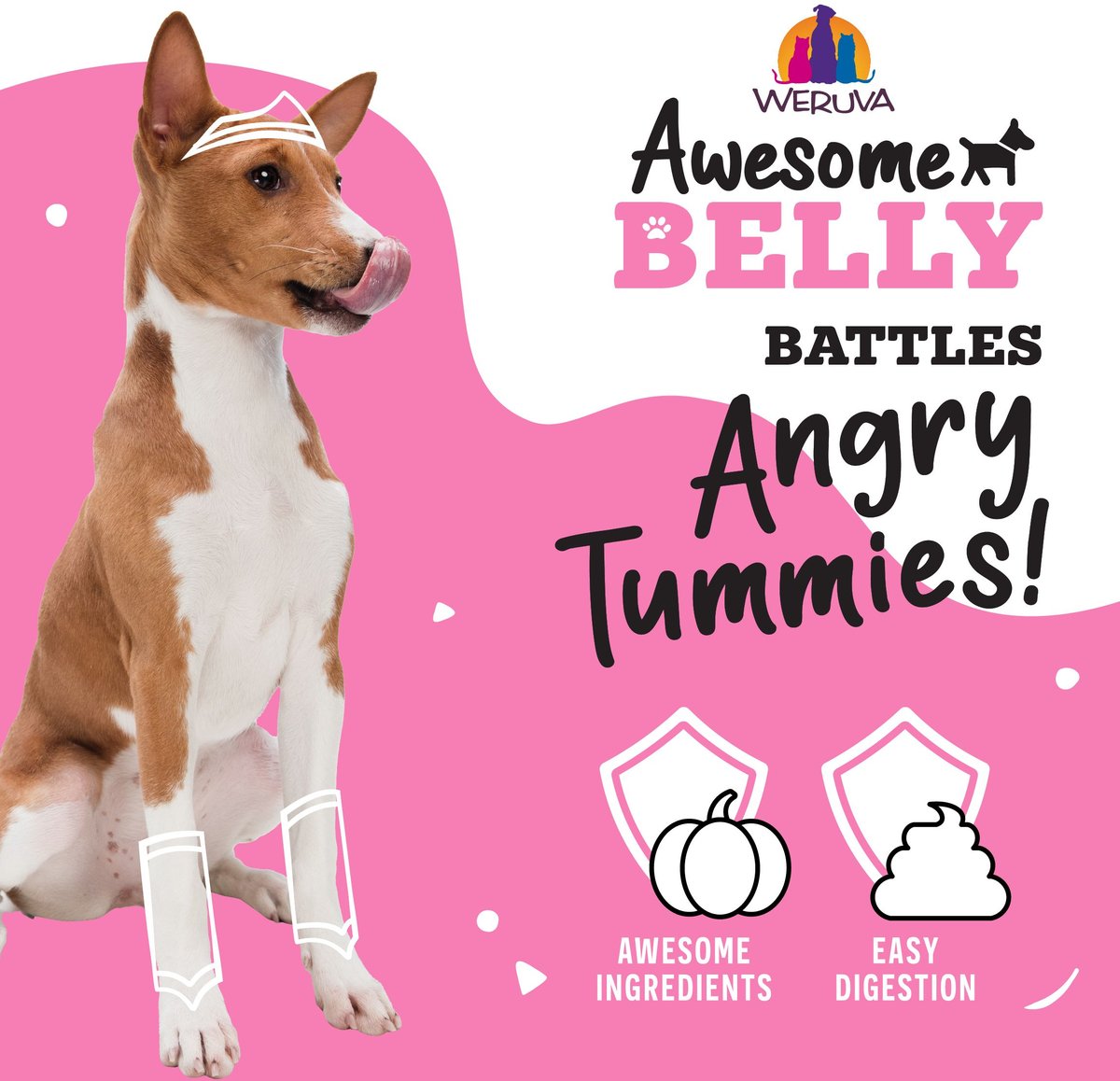 Weruva Awesome Belly Recipe Adult Gluten-Free Shredded Canned Wet Dog Food