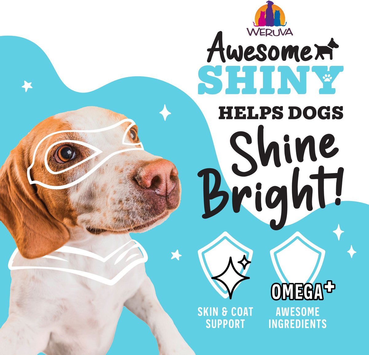 Weruva Awesome Shiny Recipe Adult Gluten-Free Shredded Canned Wet Dog Food