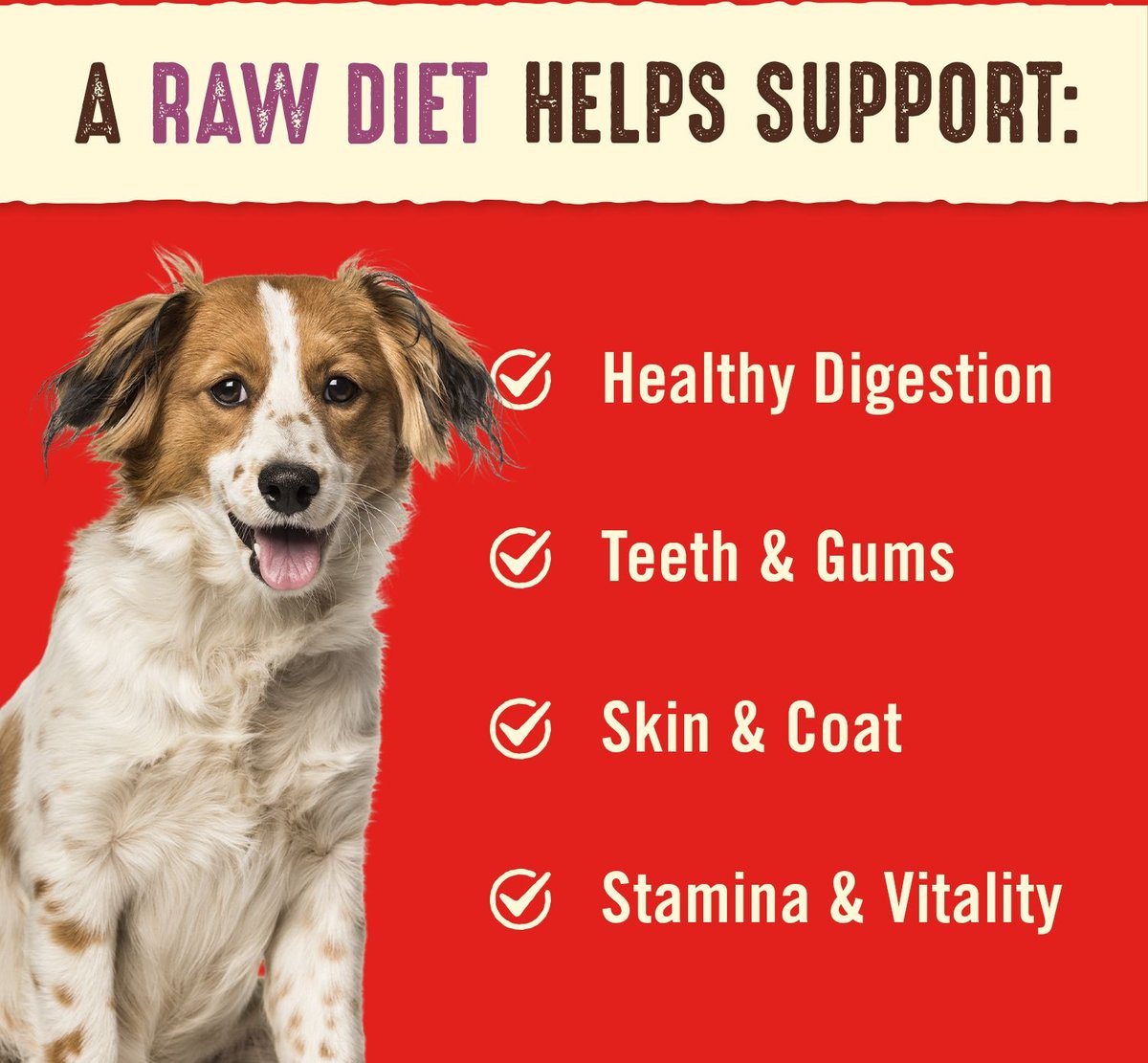 Stella & Chewy's Dog Tantalizing Turkey Dinner Patties Freeze-Dried Raw Dog Food