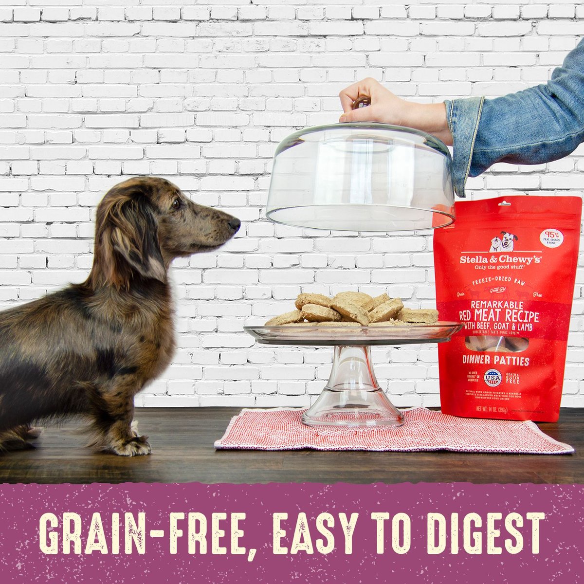 Stella & Chewy's Dog Tantalizing Turkey Dinner Patties Freeze-Dried Raw Dog Food