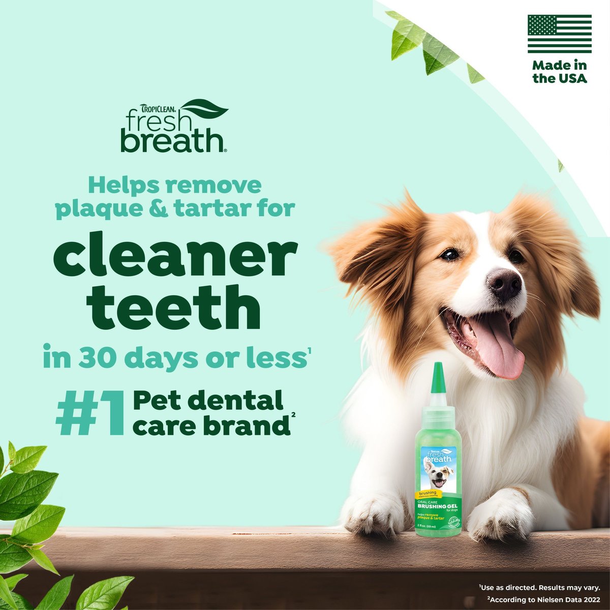TropiClean Fresh Breath Brushing Dog Dental Gel