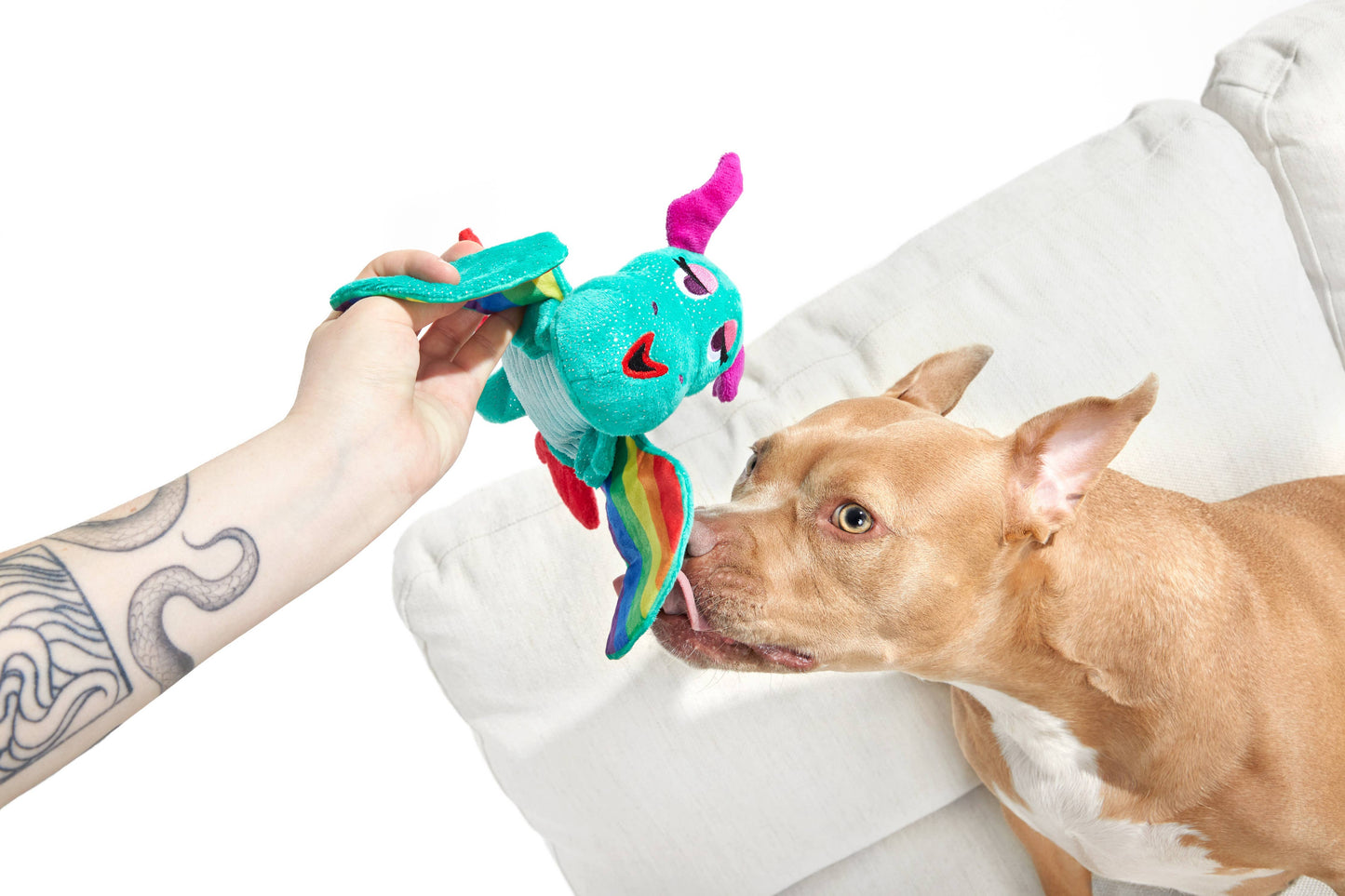 BARK Slay The Dragon Queen Plush Dog Toy