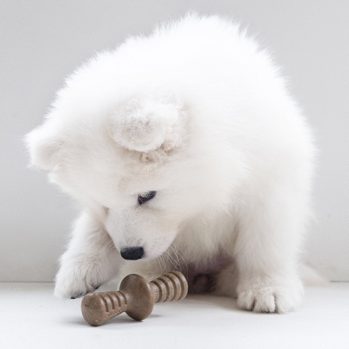 Benebone Maplestick/Zaggler Puppy Chew Toy (2-Pack)