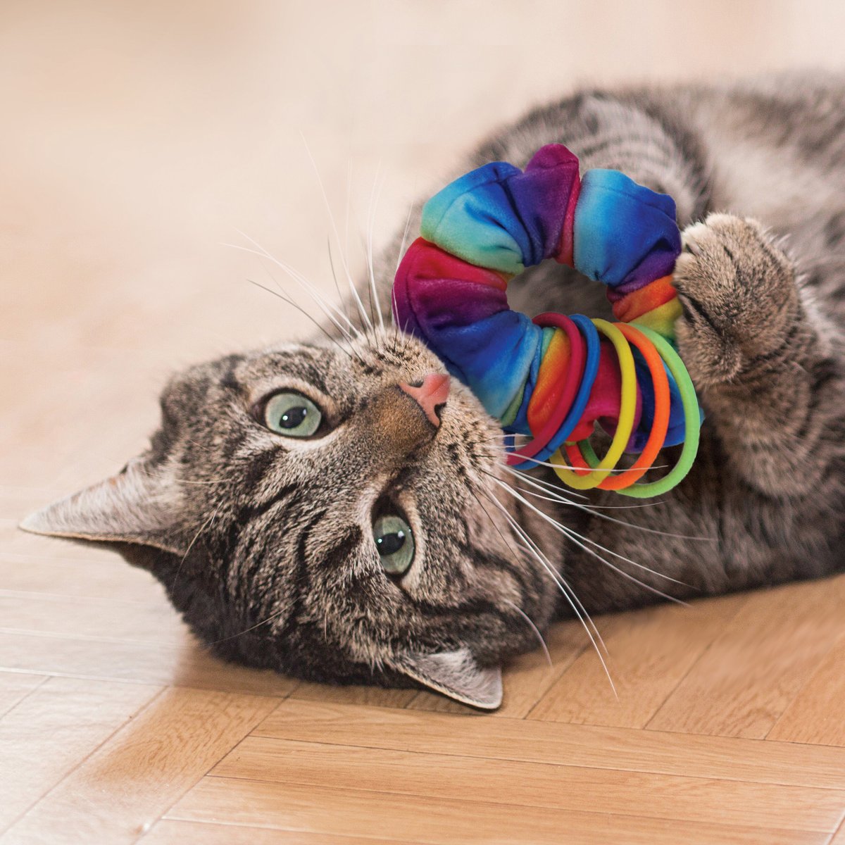 KONG Cat Active Scrunchie Toy