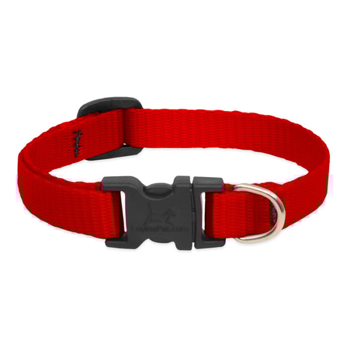 LupinePet Basic Solids Dog Collar, Small