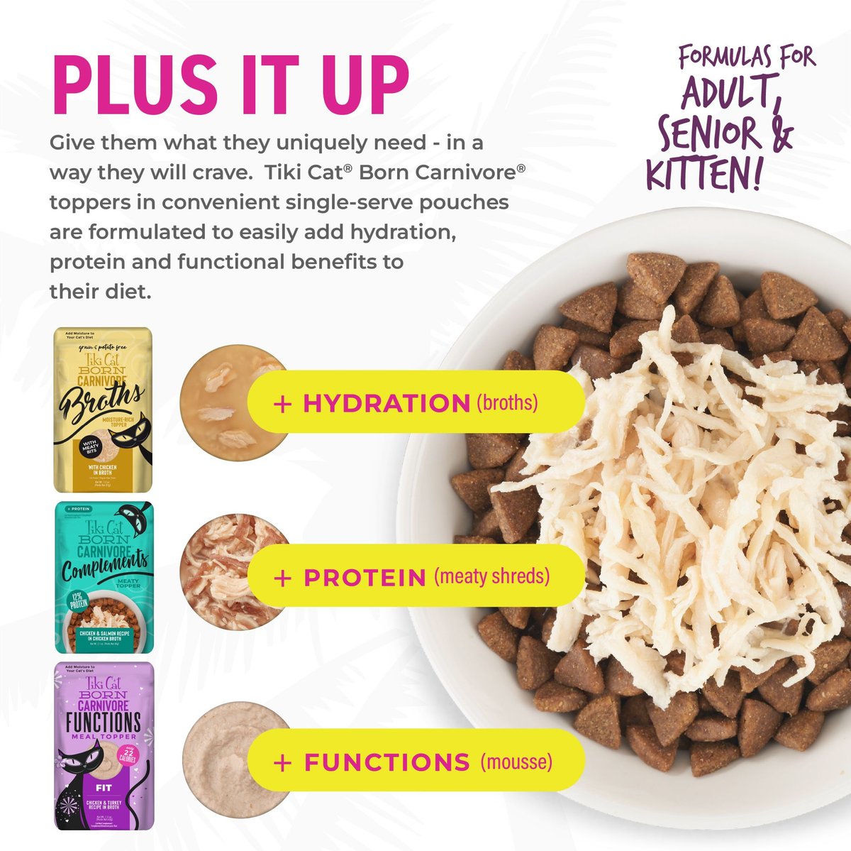 Tiki Cat Born Carnivore Grain Free Indoor Health Non-GMO Chicken and Turkey Dry Food