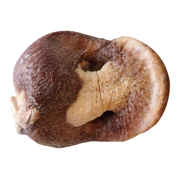 Bones & Co Dog Freeze Dried Duck Heart Treat