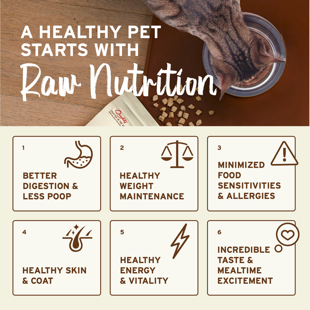 Primal Cat Raw Frozen Rabbit Nuggets