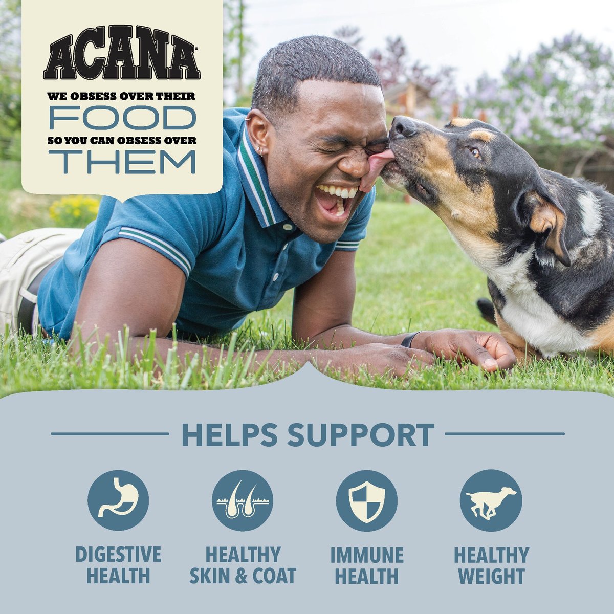ACANA Wholesome Grains Sea to Stream Dry Dog Food