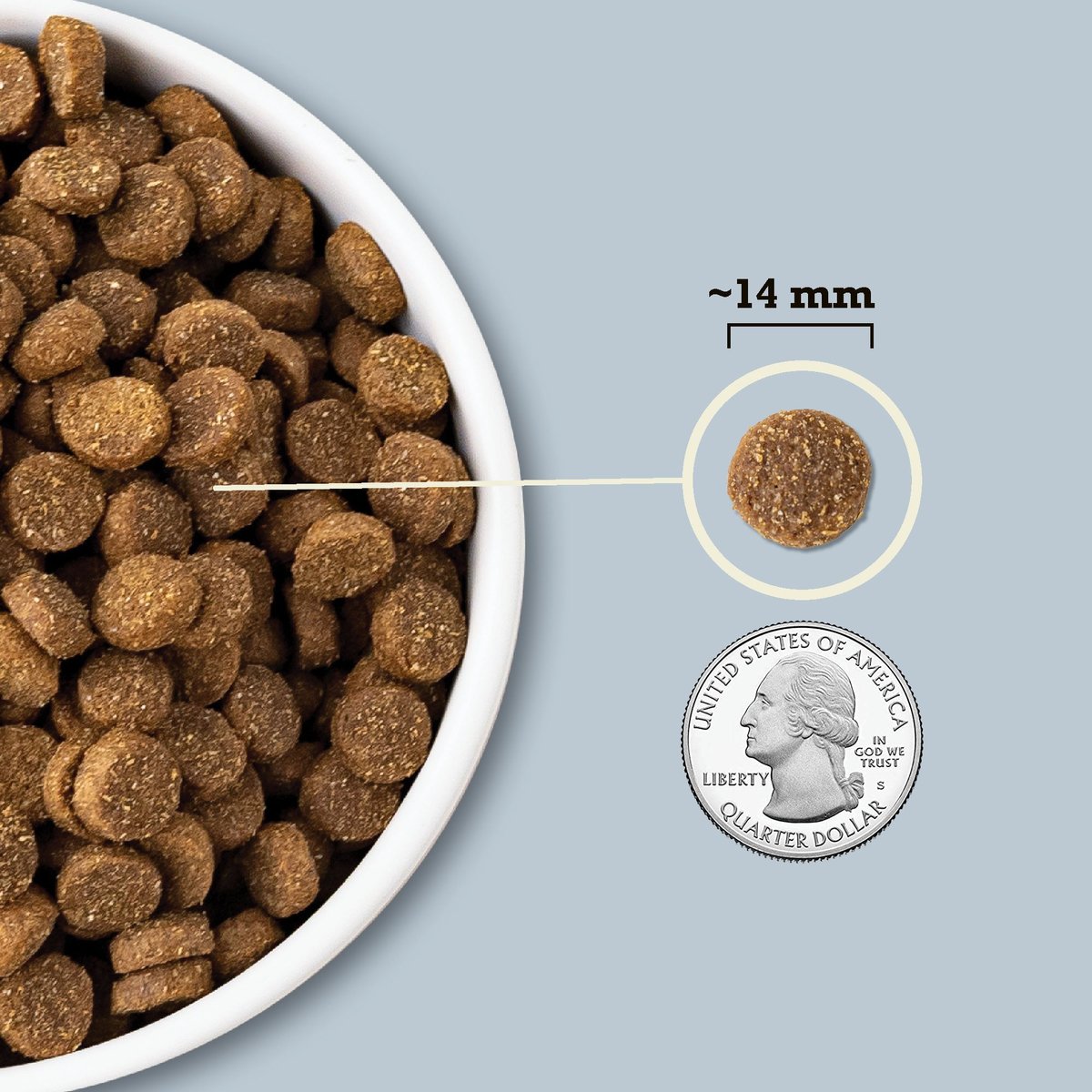 ACANA Wholesome Grains Sea to Stream Dry Dog Food