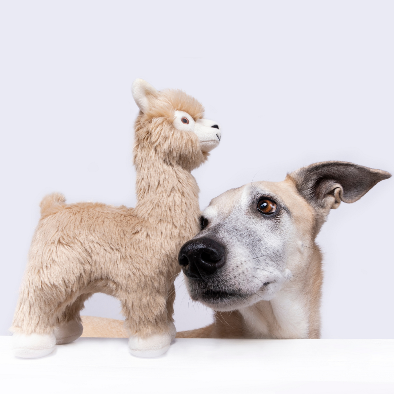 Fluff & Tuff "Inca" - Alpaca Plush Dog Toy