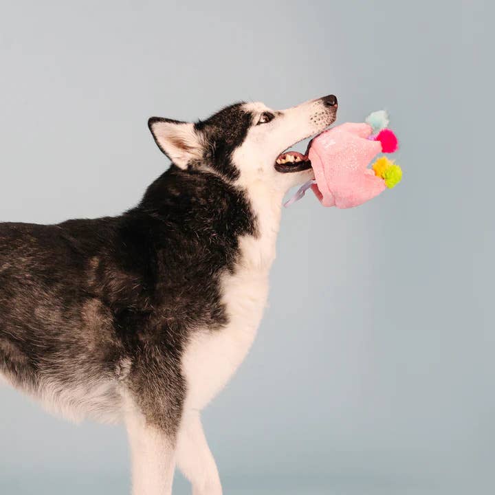 PetShop by Fringe Studio Dog If The Crown Fits Plush Toy