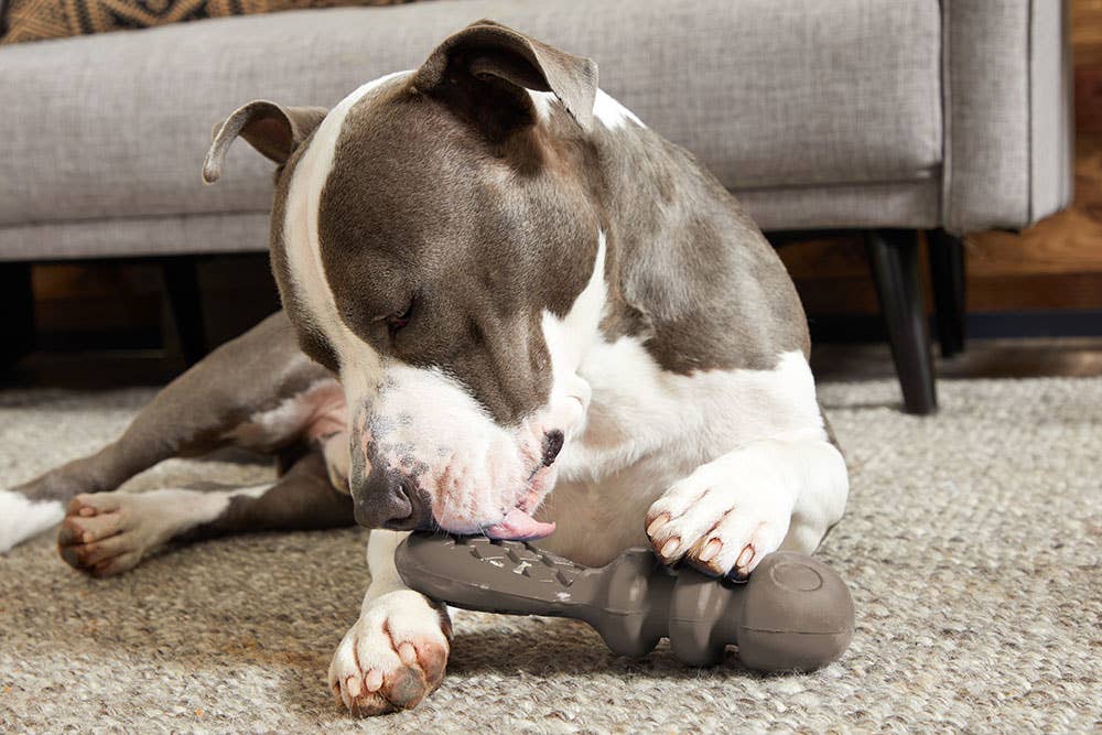 BARK Dog Buck Wild Toy