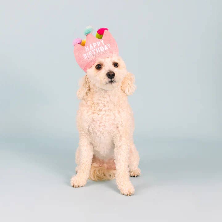 PetShop by Fringe Studio Dog If The Crown Fits Plush Toy