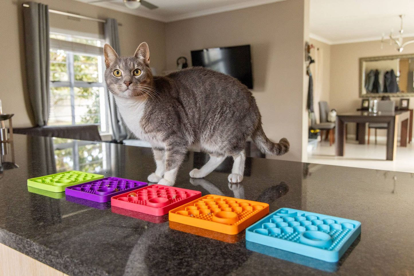 LickiMat Catster Slow Feeder