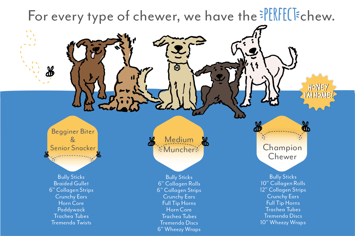 Honey I'm Home Tremenda Disc Dog Treat