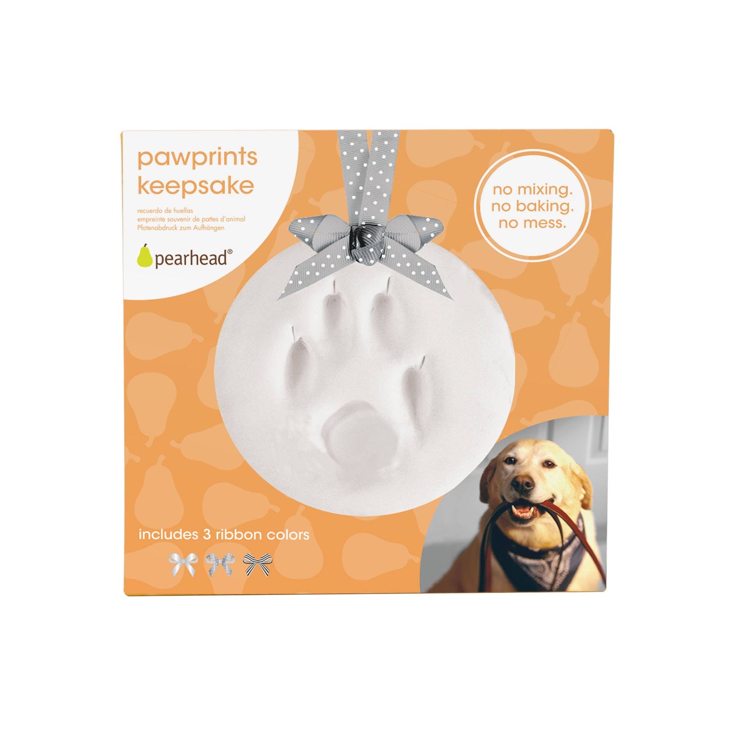 Pet Pawprints Keepsake Ornament Kit, Small