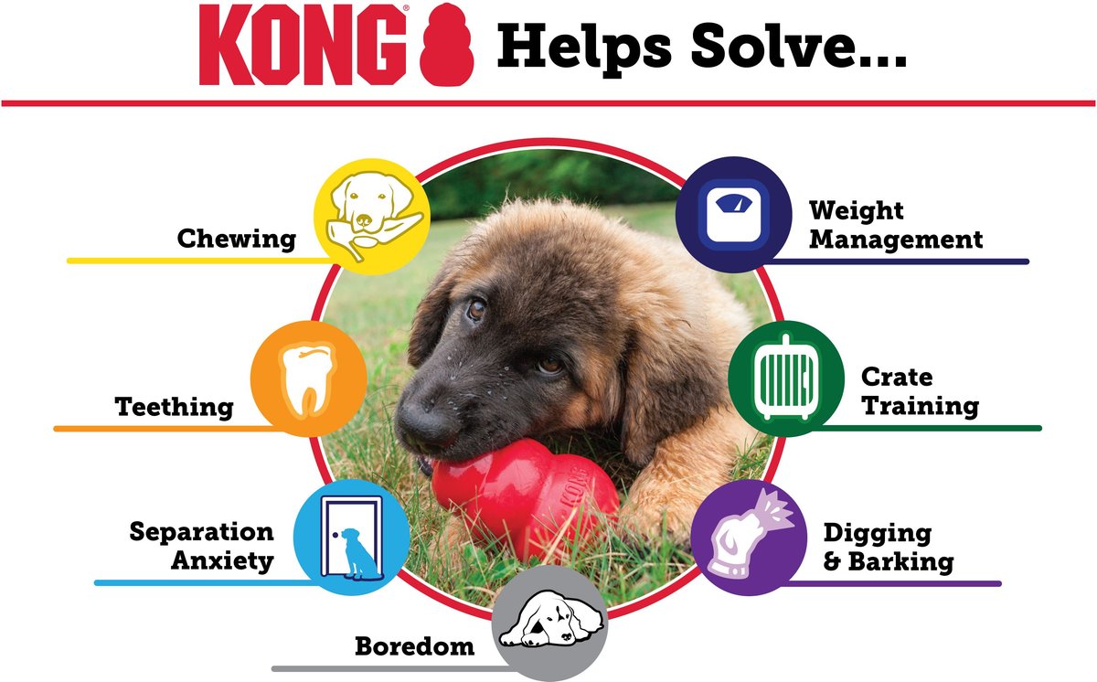 KONG Dog Classic Puppy Toy