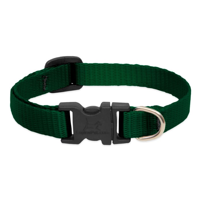LupinePet Basic Solids Dog Collar, Small