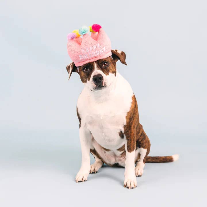 PetShop by Fringe Studio Dog If The Crown Fits Plush Toy