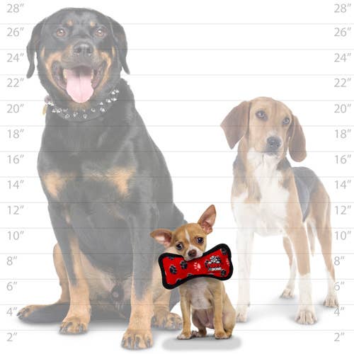Tuffy Jr Bone Durable Dog Toy