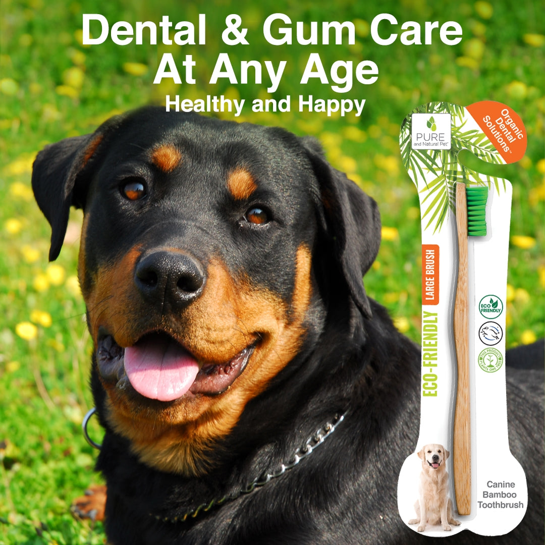 Pure and Natural Pet Bamboo Toothbrush, Large