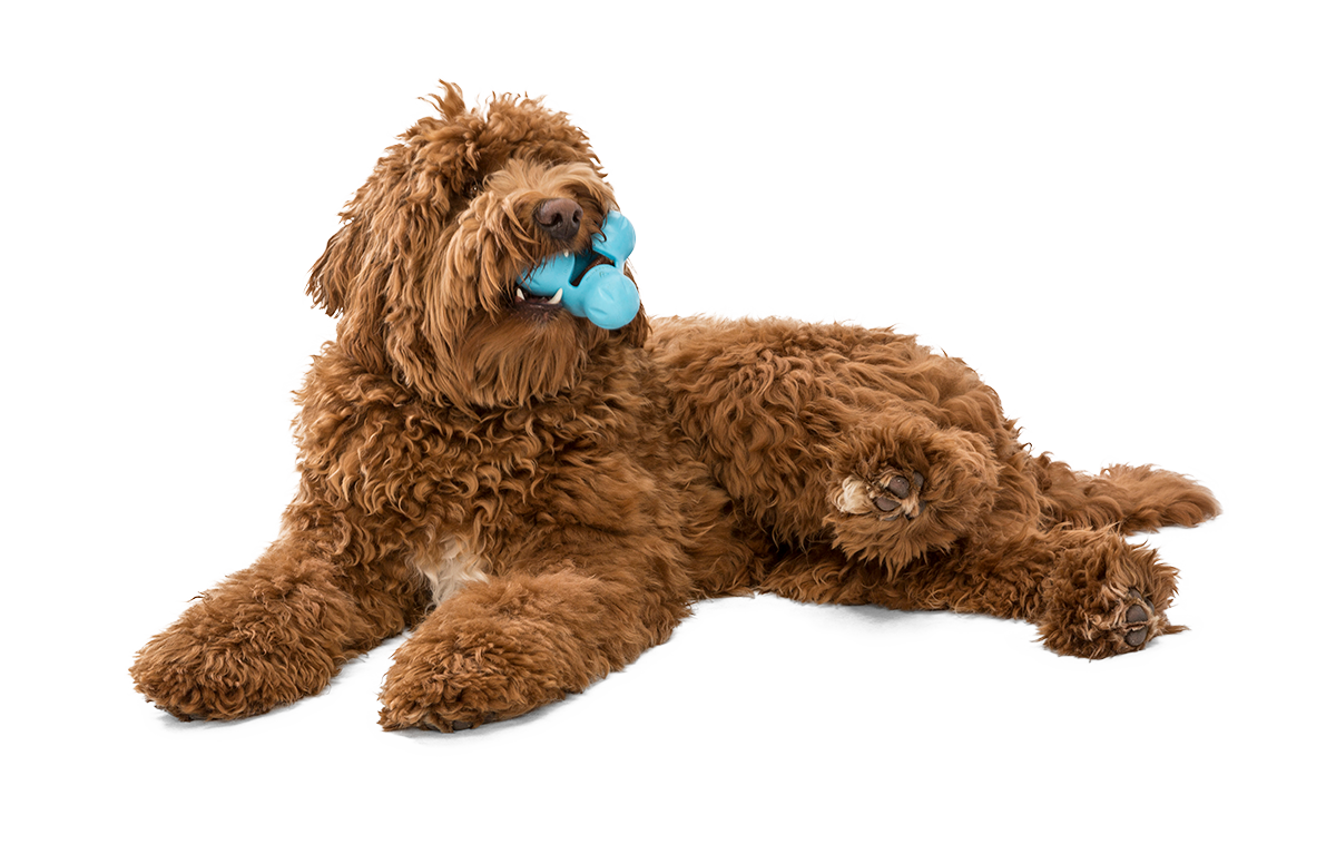 West Paw Tux Puzzle Treat-Dispensing Slow Feeder Dog Toy
