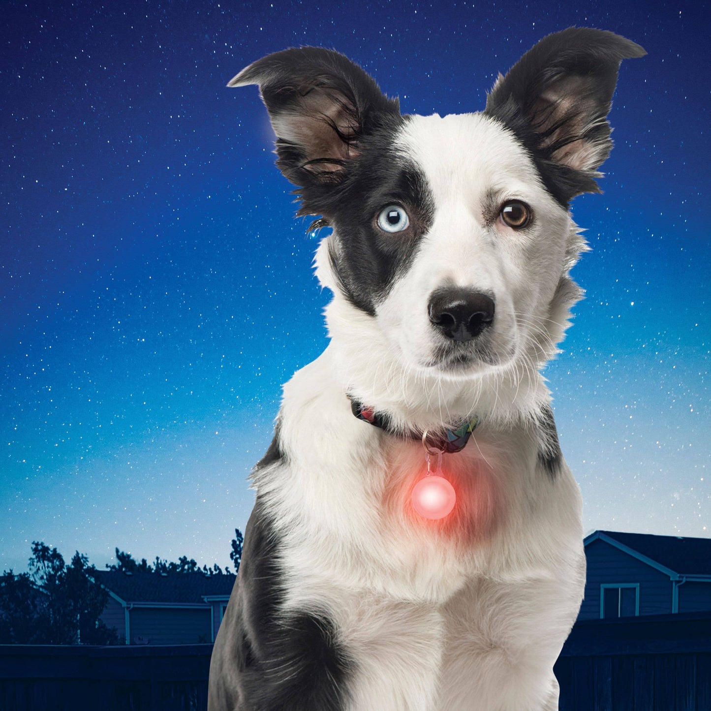 Nite Ize SpotLit LED Collar Safety Light - Orange