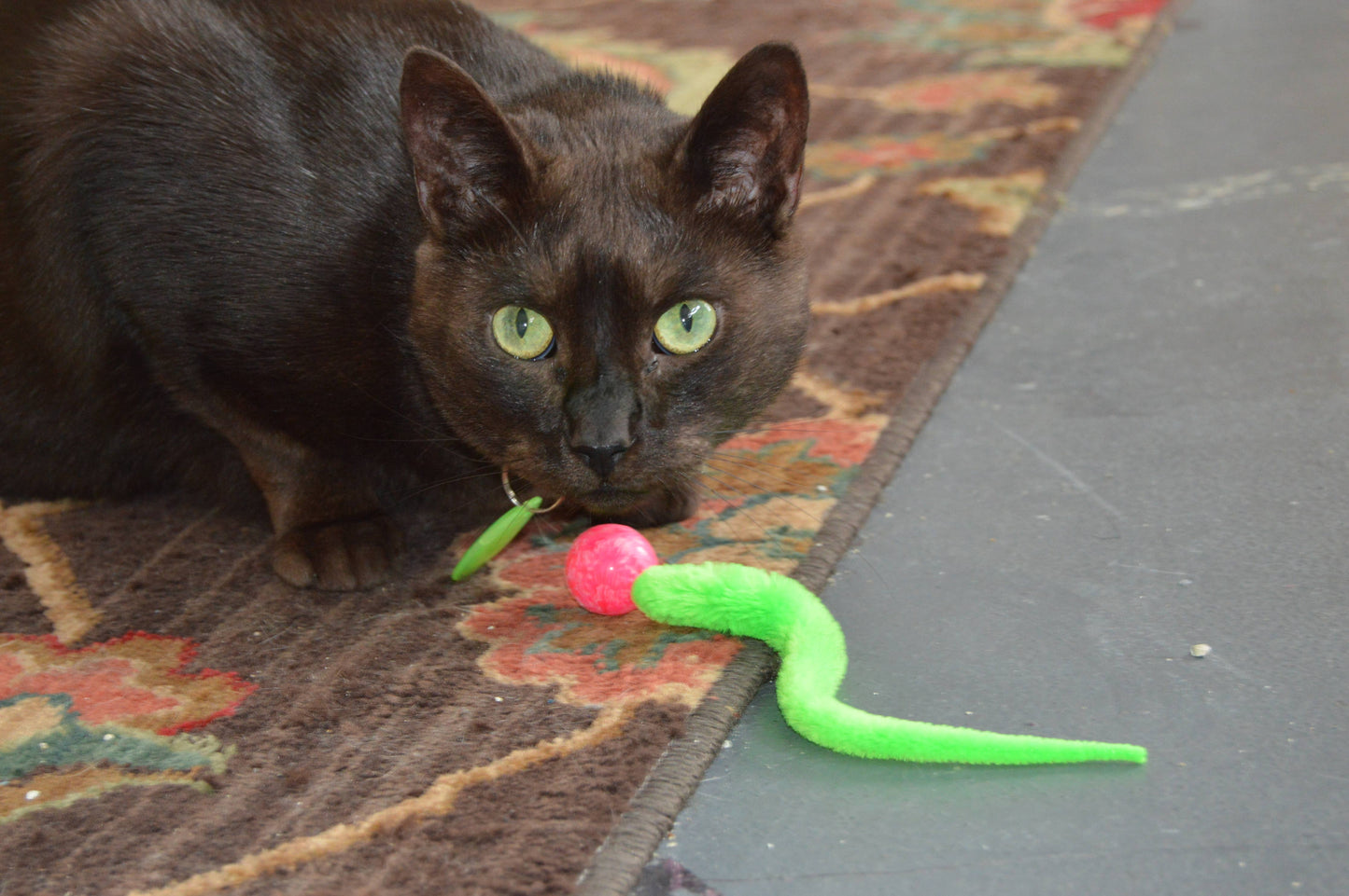 Dezi & Roo Solid Marbled Bouncy Ball Cat Toy