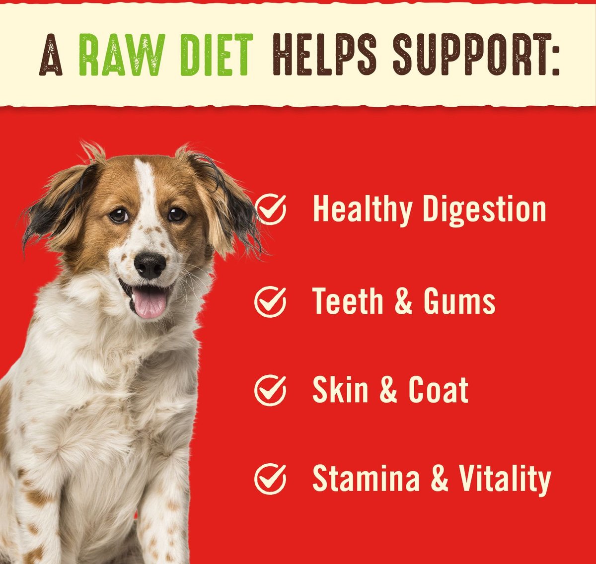Stella & Chewy's Dog Duck Duck Goose Dinner Patties Freeze-Dried Raw Food