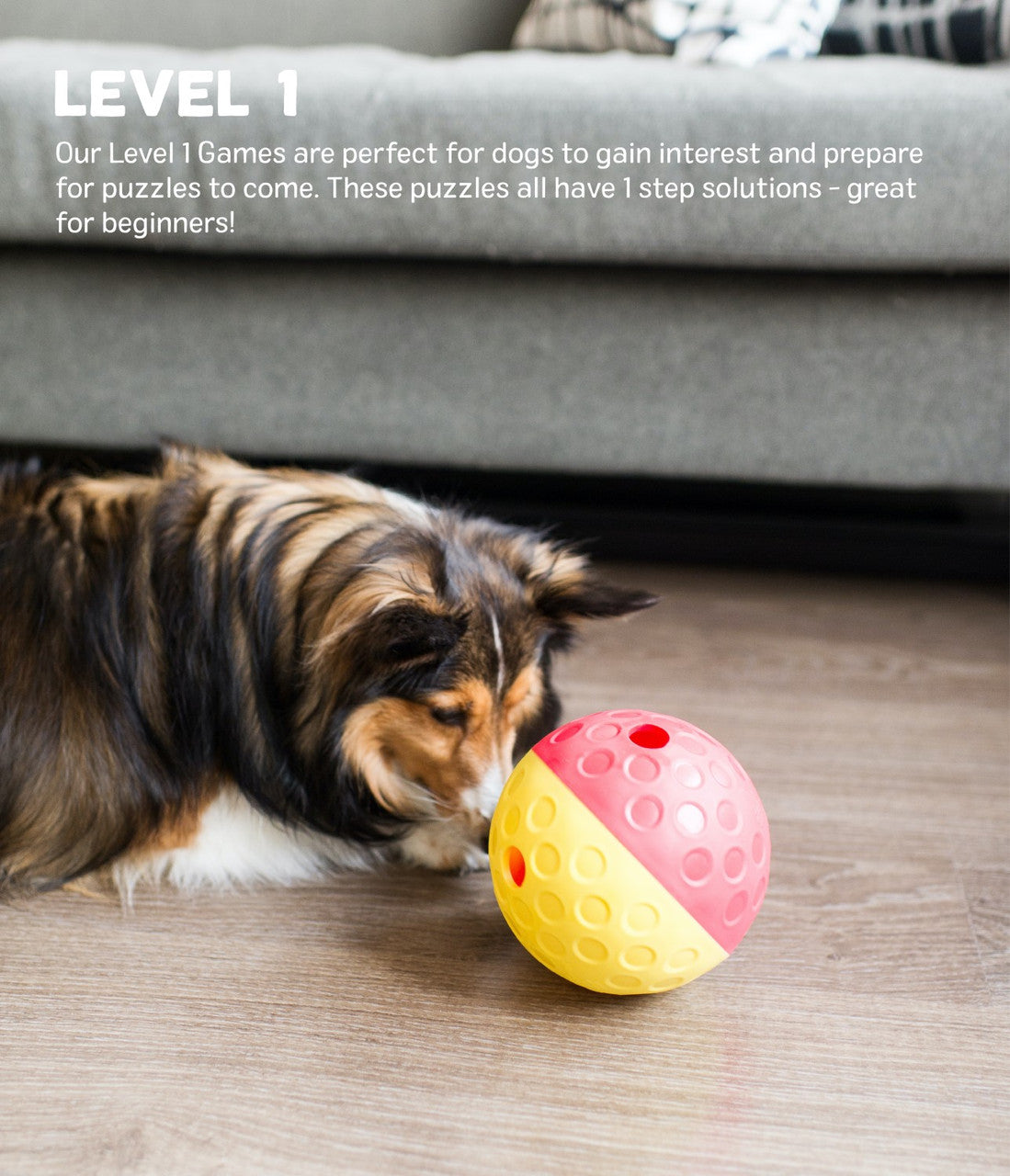 Nina Ottosson by Outward Hound Dog Treat Tumble Interactive Puzzle, Red, Large