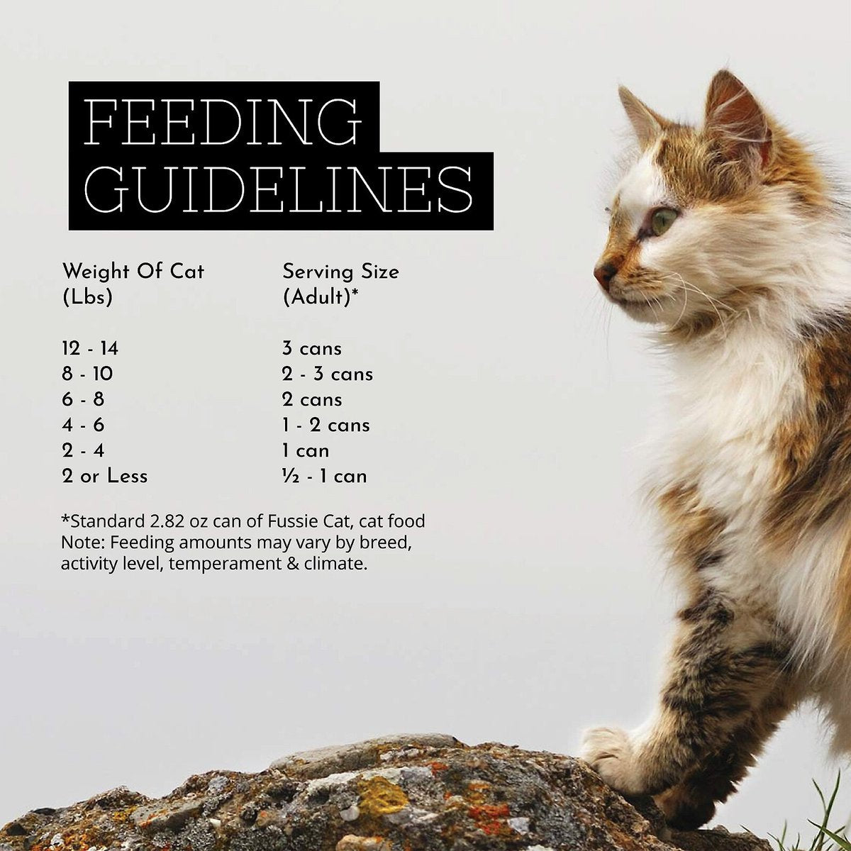 Fussie Cat Premium Tuna with Salmon Canned Food
