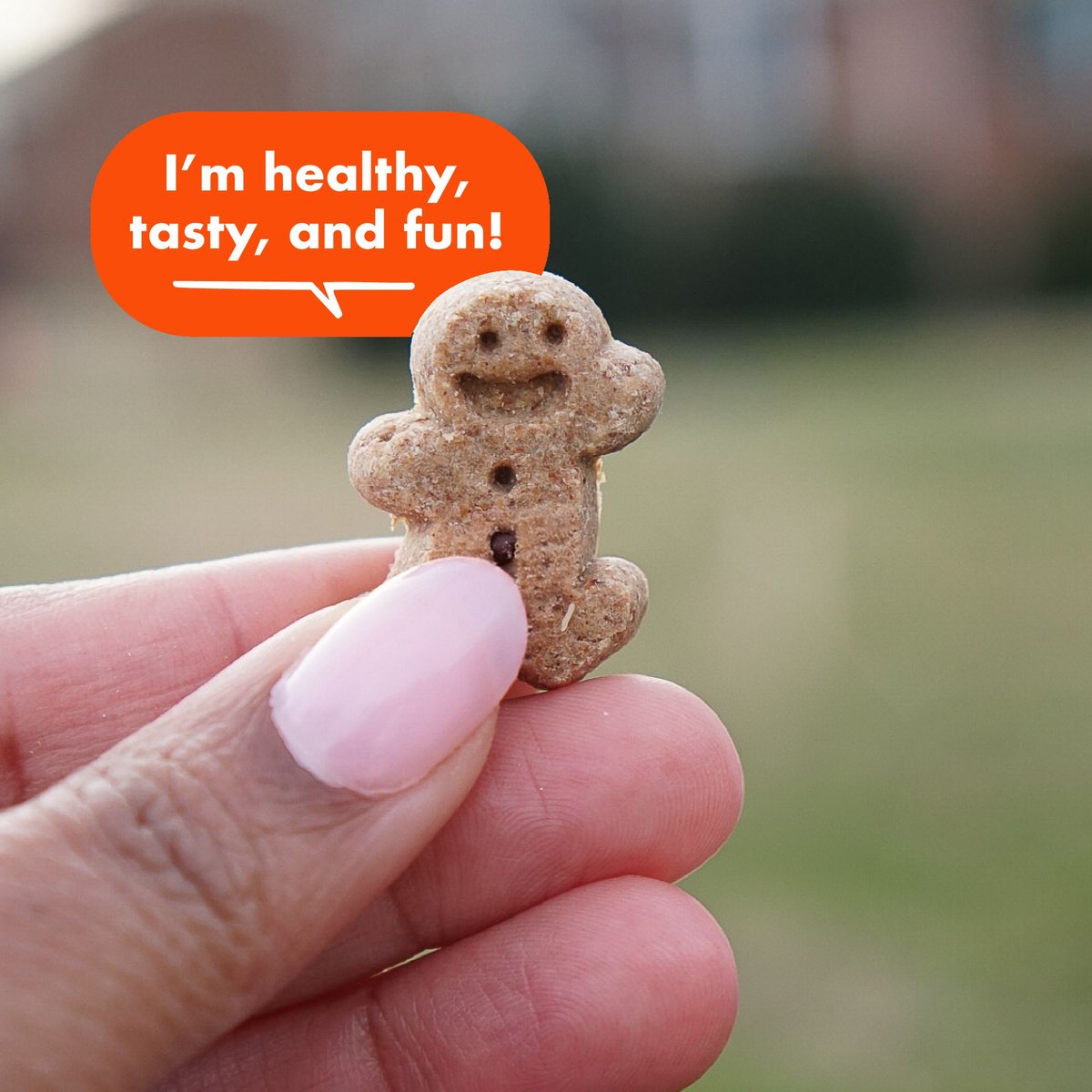 Buddy Biscuits Softies with Peanut Butter Soft & Chewy Dog Treats