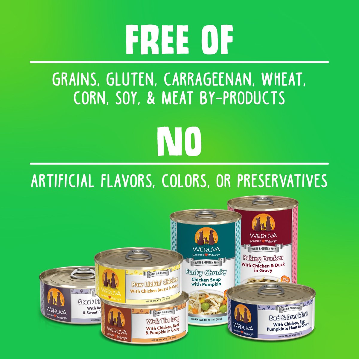 Weruva Dog Funky Chunky Chicken Soup with Pumpkin Grain-Free Canned Food