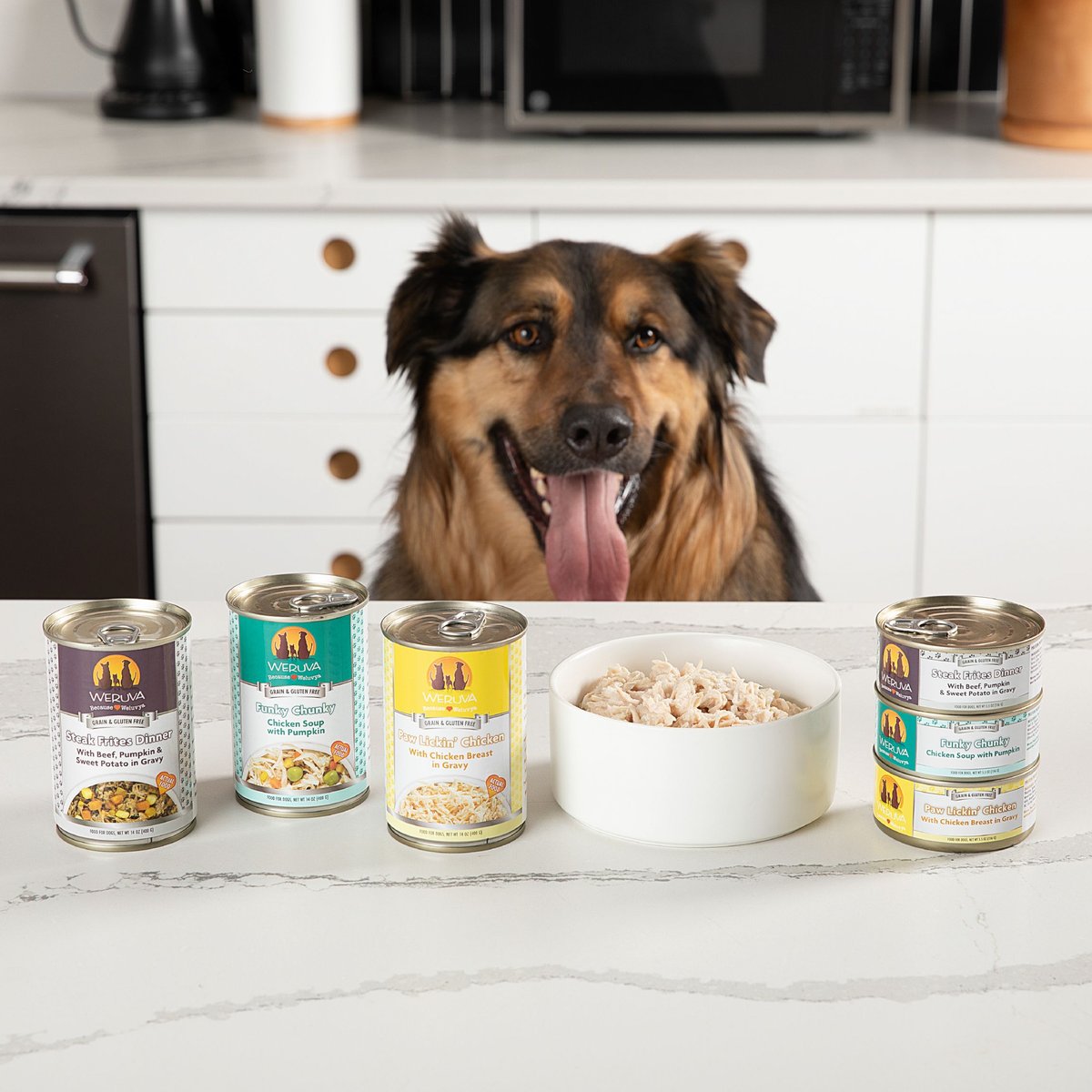 Weruva Dog Funky Chunky Chicken Soup with Pumpkin Grain-Free Canned Food