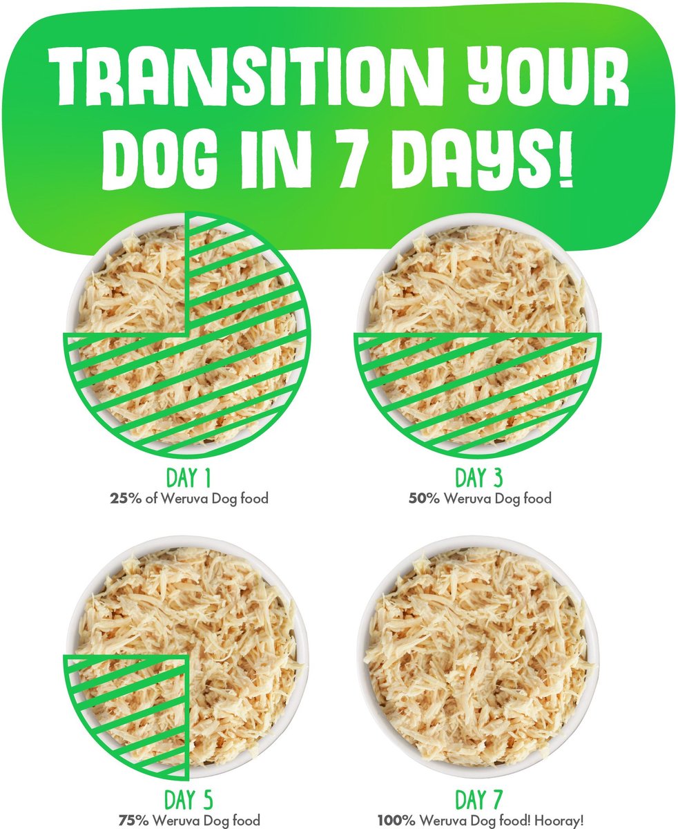 Weruva Dog Funky Chunky Chicken Soup with Pumpkin Grain-Free Canned Food