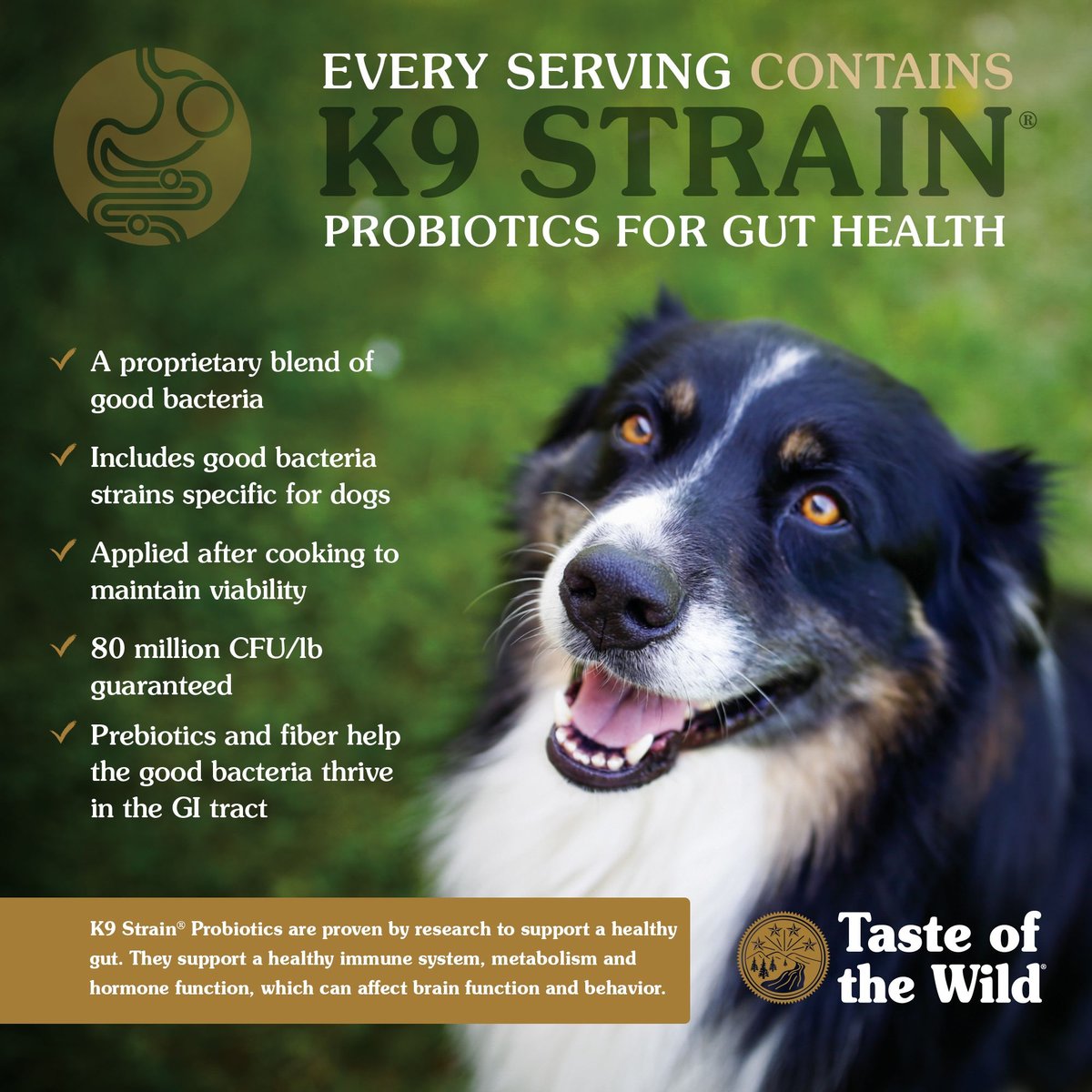Taste of the Wild Southwest Canyon Dry Dog Food