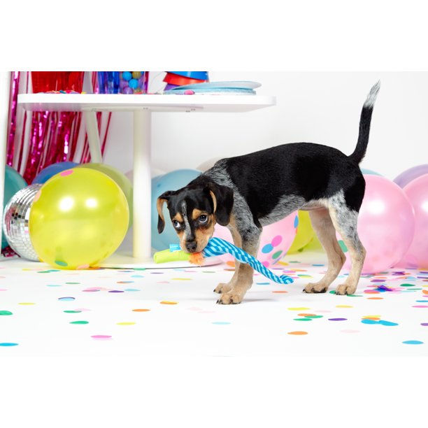 BARK Dog Party-Blower Horn Toy