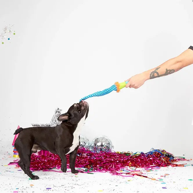BARK Dog Party-Blower Horn Toy
